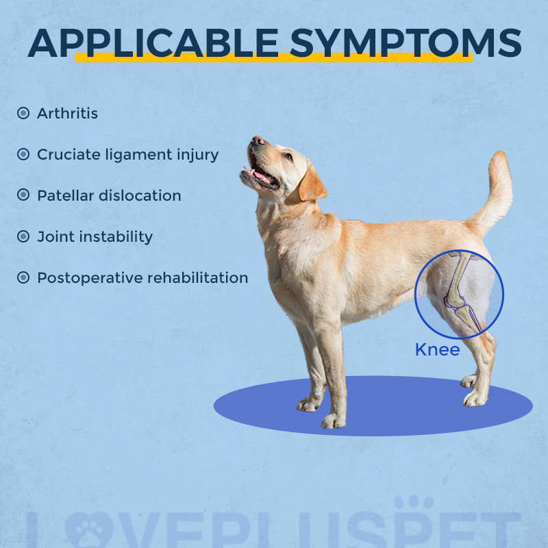 Dog Knee Brace with Metal Hinge Support for Acl
