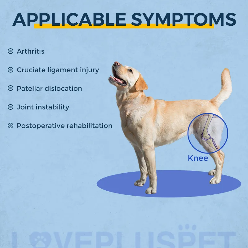 Dog Knee Brace with Metal Hinge Support for Acl
