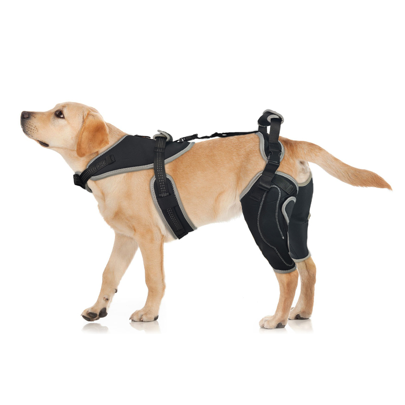 Dog Knee Brace with Metal Hinge Support for Acl