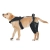 Dog Knee Brace with Metal Hinge Support for Acl