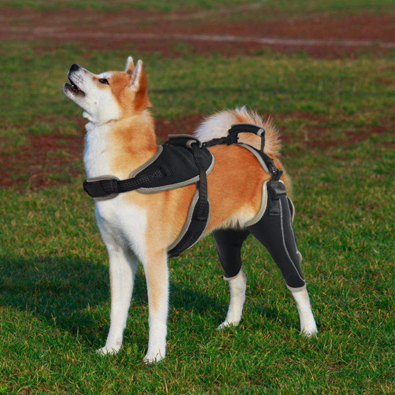 Dog Knee Brace with Metal Hinge Support for Acl
