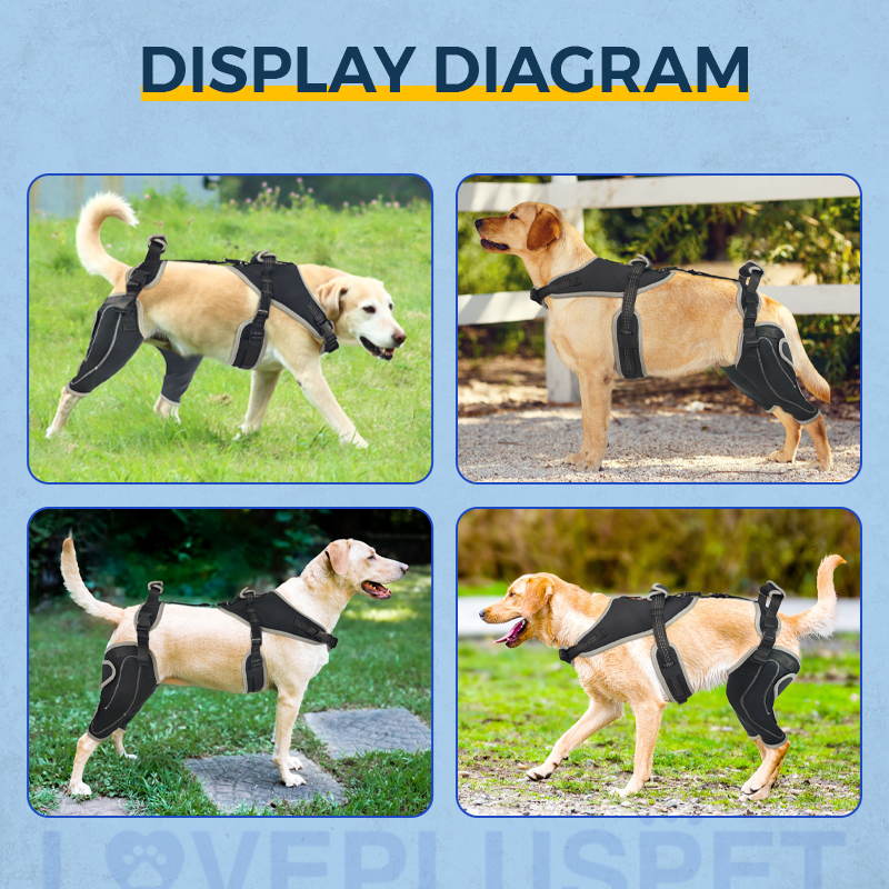 Dog Knee Brace with Metal Hinge Support for Acl