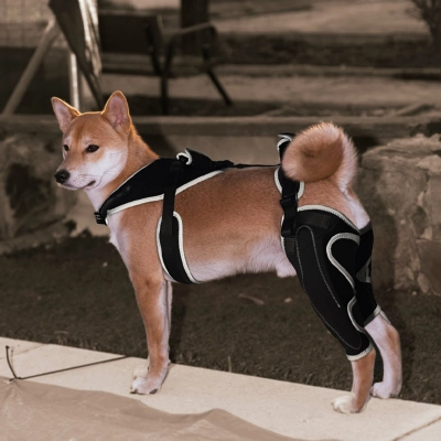 Dog Knee Brace with Metal Hinge Support for Acl 02