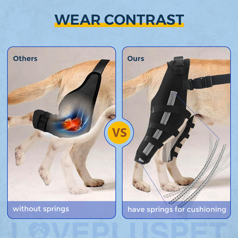 Hinged Dog Double Leg Brace