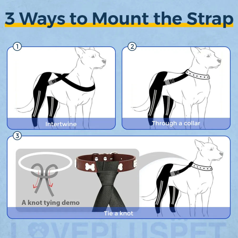 Hinged Dog Double Leg Brace