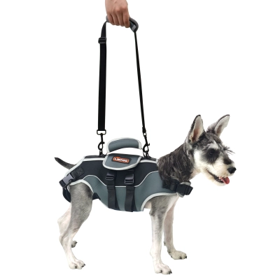 Total Body Lift Harness for Dogs 01