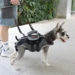 Total Body Lift Harness for Dogs