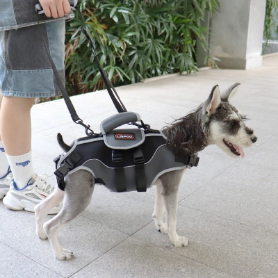 Total Body Lift Harness for Dogs 02
