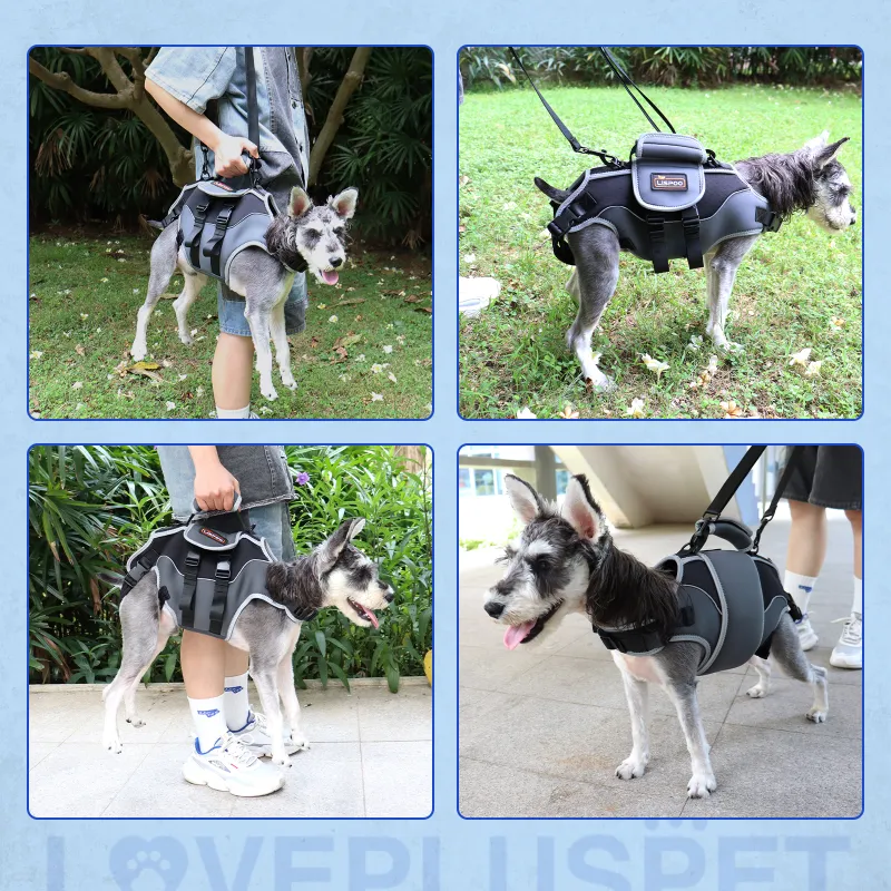Total Body Lift Harness for Dogs