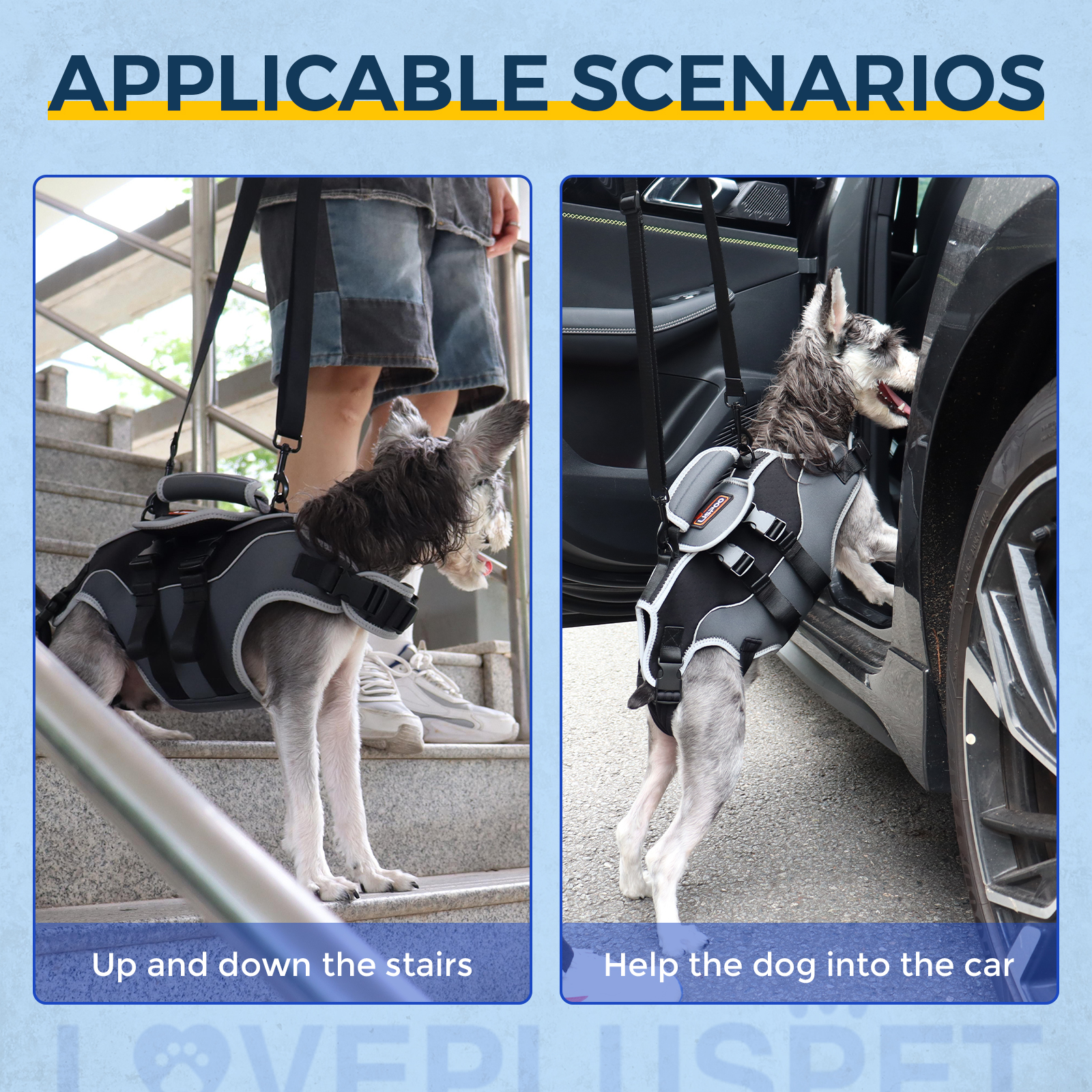 Total Body Lift Harness for Dogs