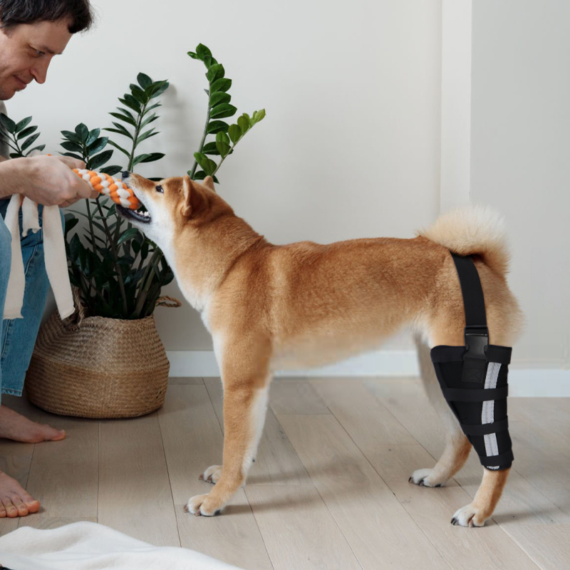 Hinged Dog Leg Brace