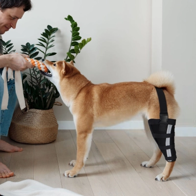 Hinged Dog Leg Brace 02