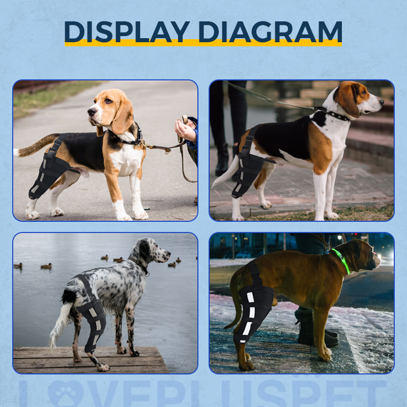 Hinged Dog Leg Brace