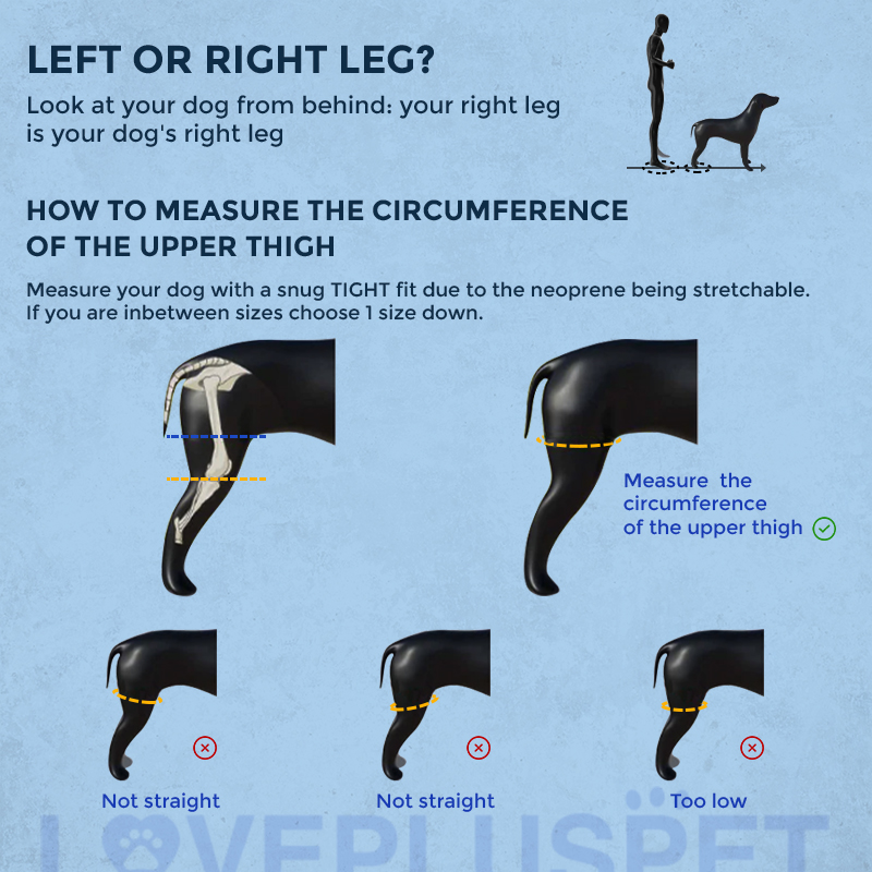 Hinged Dog Leg Brace