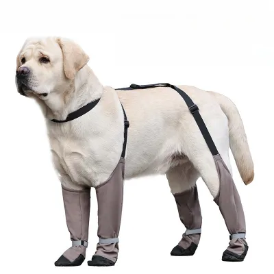 Warm And Dirt-Proof Dog Outdoor Shoes 01
