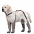 Warm And Dirt-Proof Dog Outdoor Shoes