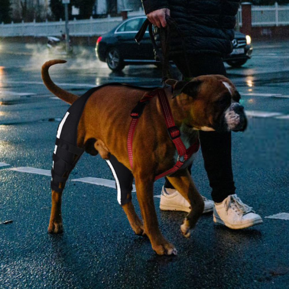 Luxating Patella Dog Knee Brace