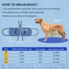  Belly Sling for Large Dogs