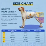 Dog Knee Brace