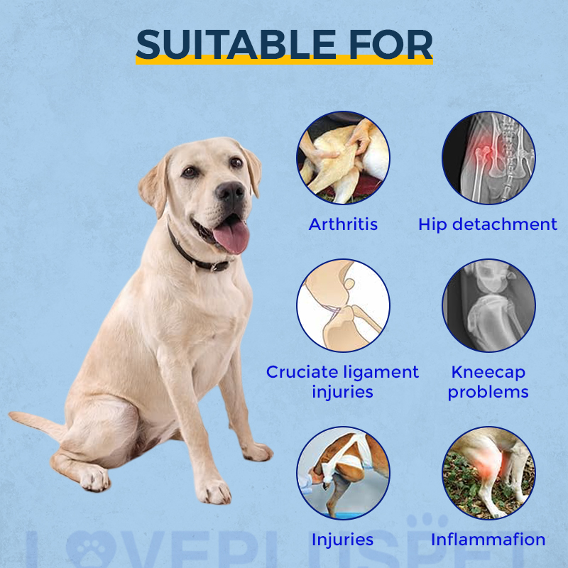 Hinged Dog Double Leg Brace