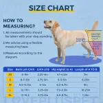 Labrador Dog Double Hind Legs Support Brace