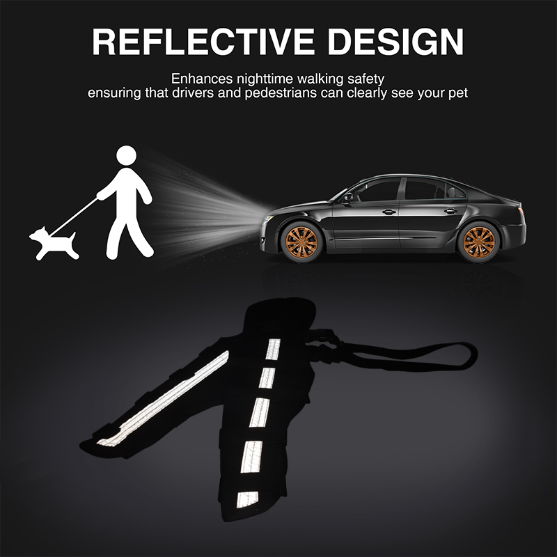 Labrador Dog Double Hind Legs Support Brace