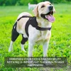 Dog Torn Acl Brace