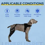 Dog Torn Acl Brace