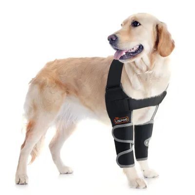 Nursing Dog Front Elbow Brace 01