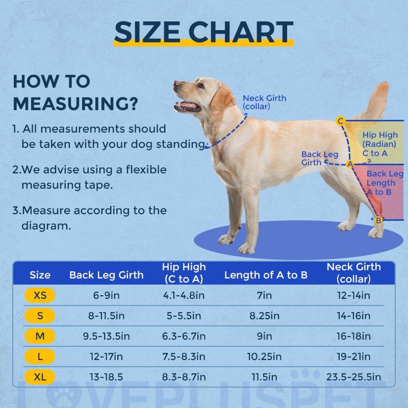 Hinged Dog Double Leg Brace
