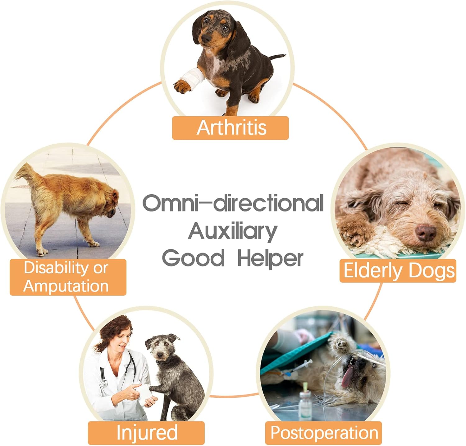 Grid Dog Lift Harness for Back Legs