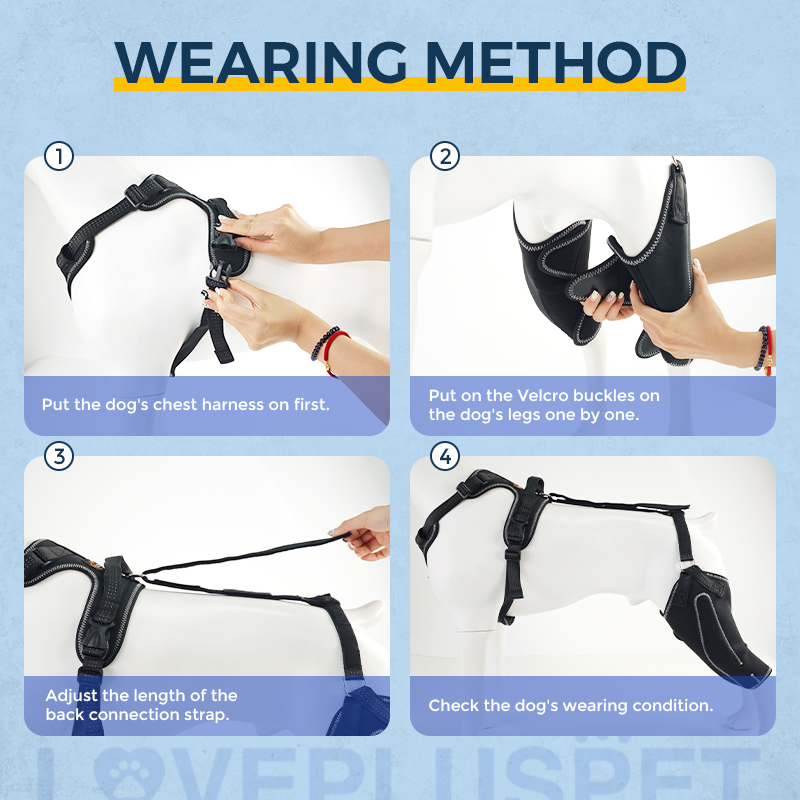 Dog Knee Brace with Metal Splint Hinge Support for ACL