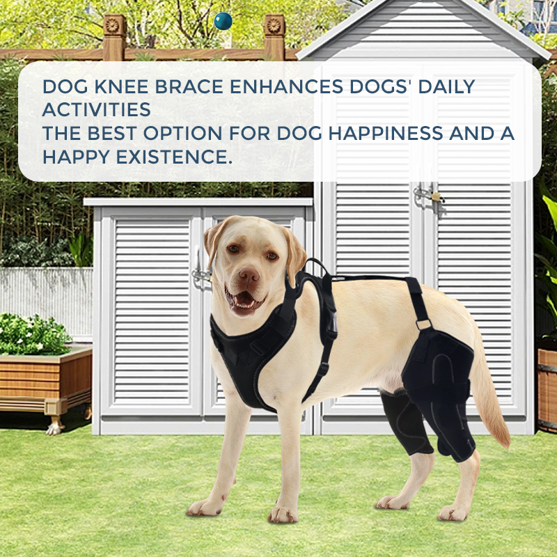 Dog Knee Brace with Metal Splint Hinge Support for ACL