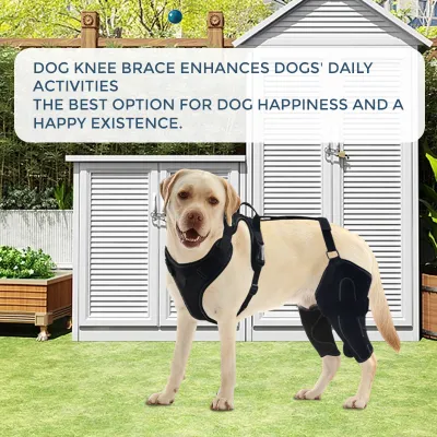Dog Knee Brace with Metal Splint Hinge Support for ACL 02