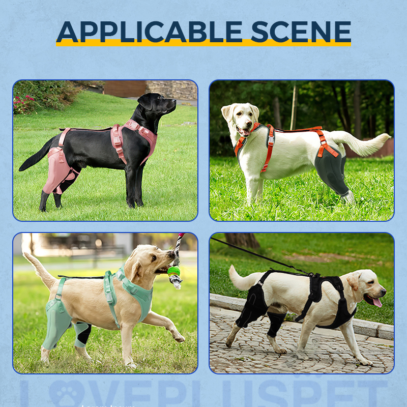 Dog Knee Brace with Metal Splint Hinge Support for ACL