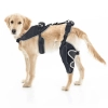 Hinged Dog Knee Brace for ACL Support
