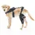Hinged Dog Knee Brace for ACL Support
