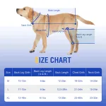Hinged Dog Knee Brace for ACL Support
