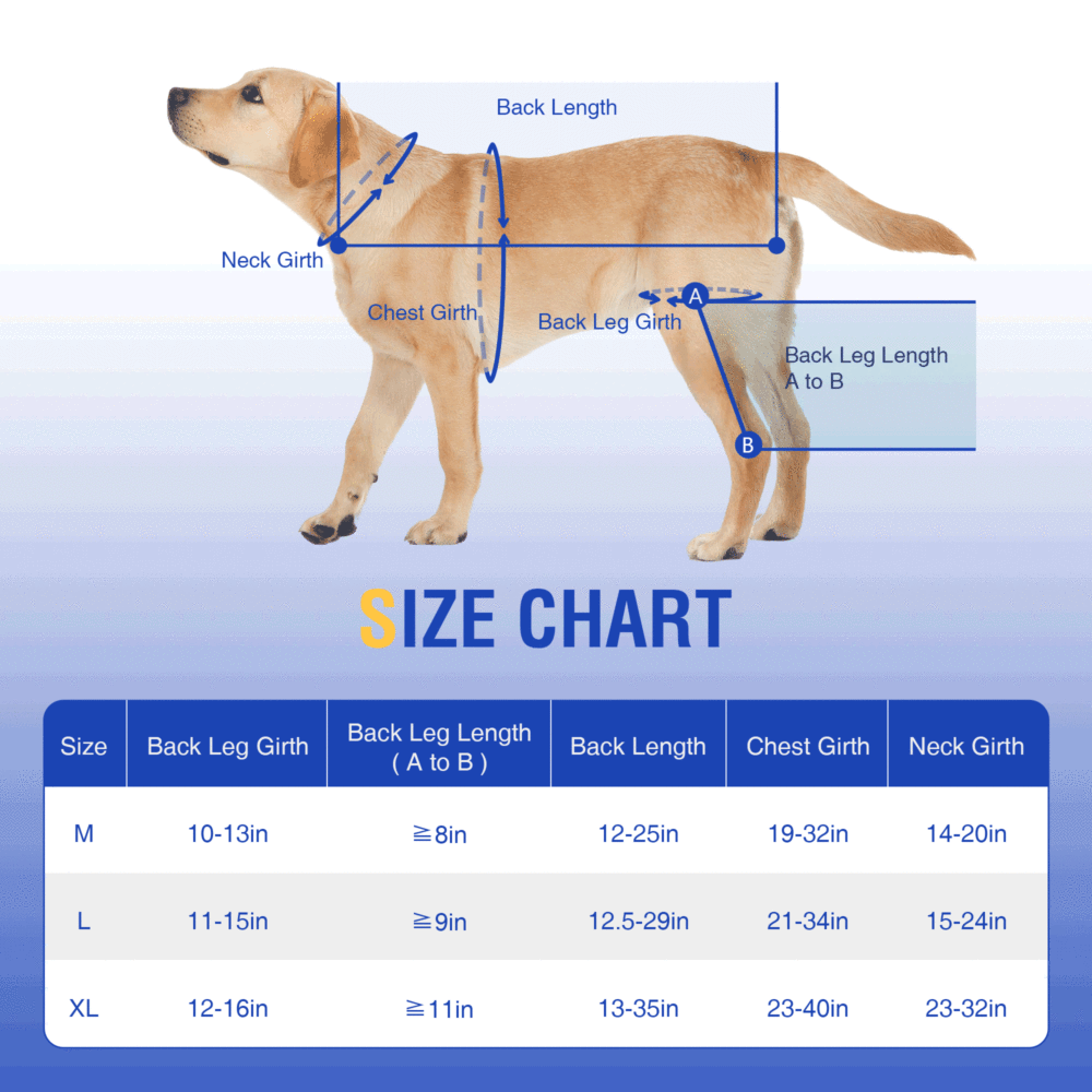 Hinged Dog Knee Brace for ACL Support