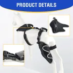 Hinged Dog Knee Brace for ACL Support