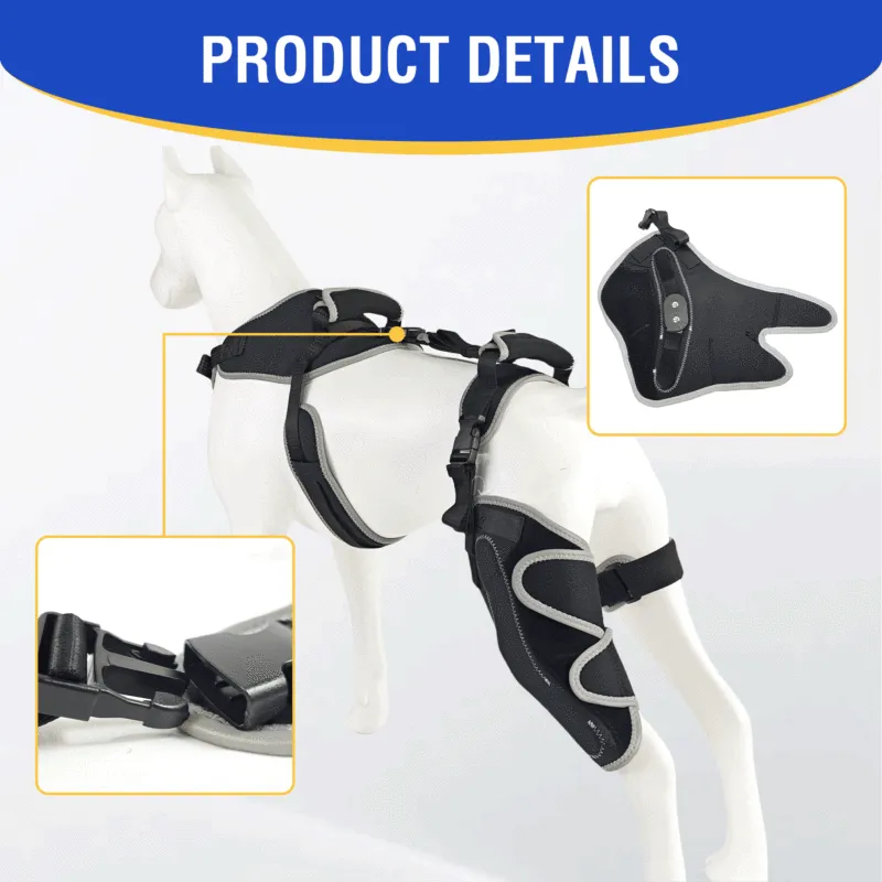 Hinged Dog Knee Brace for ACL Support