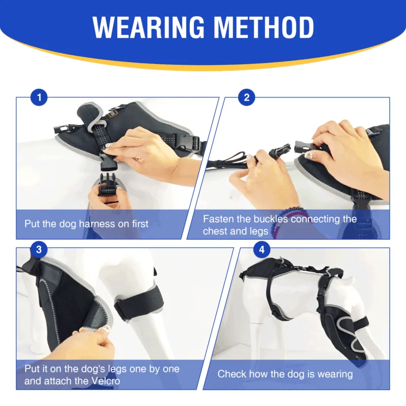 Hinged Dog Knee Brace for ACL Support