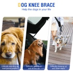 Hinged Dog Knee Brace for ACL Support