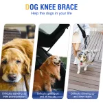 Hinged Dog Knee Brace for ACL Support