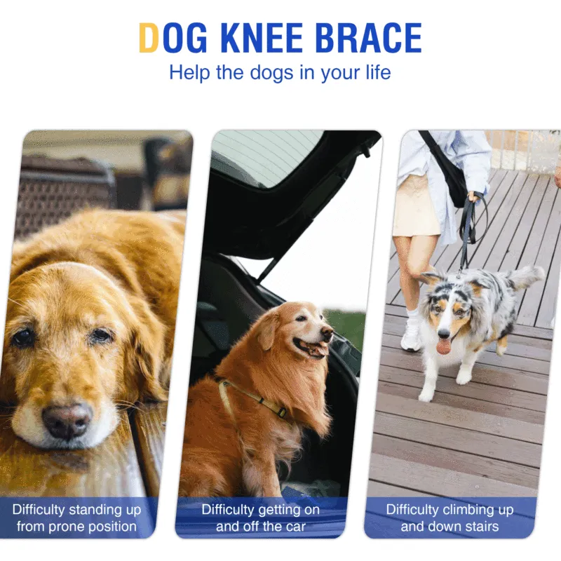 Hinged Dog Knee Brace for ACL Support