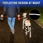 Hinged Dog Knee Brace for ACL Support
