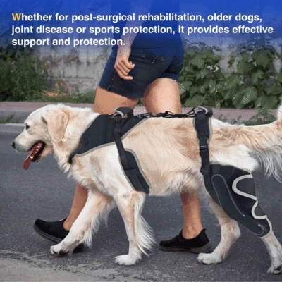 Hinged Dog Knee Brace for ACL Support 02