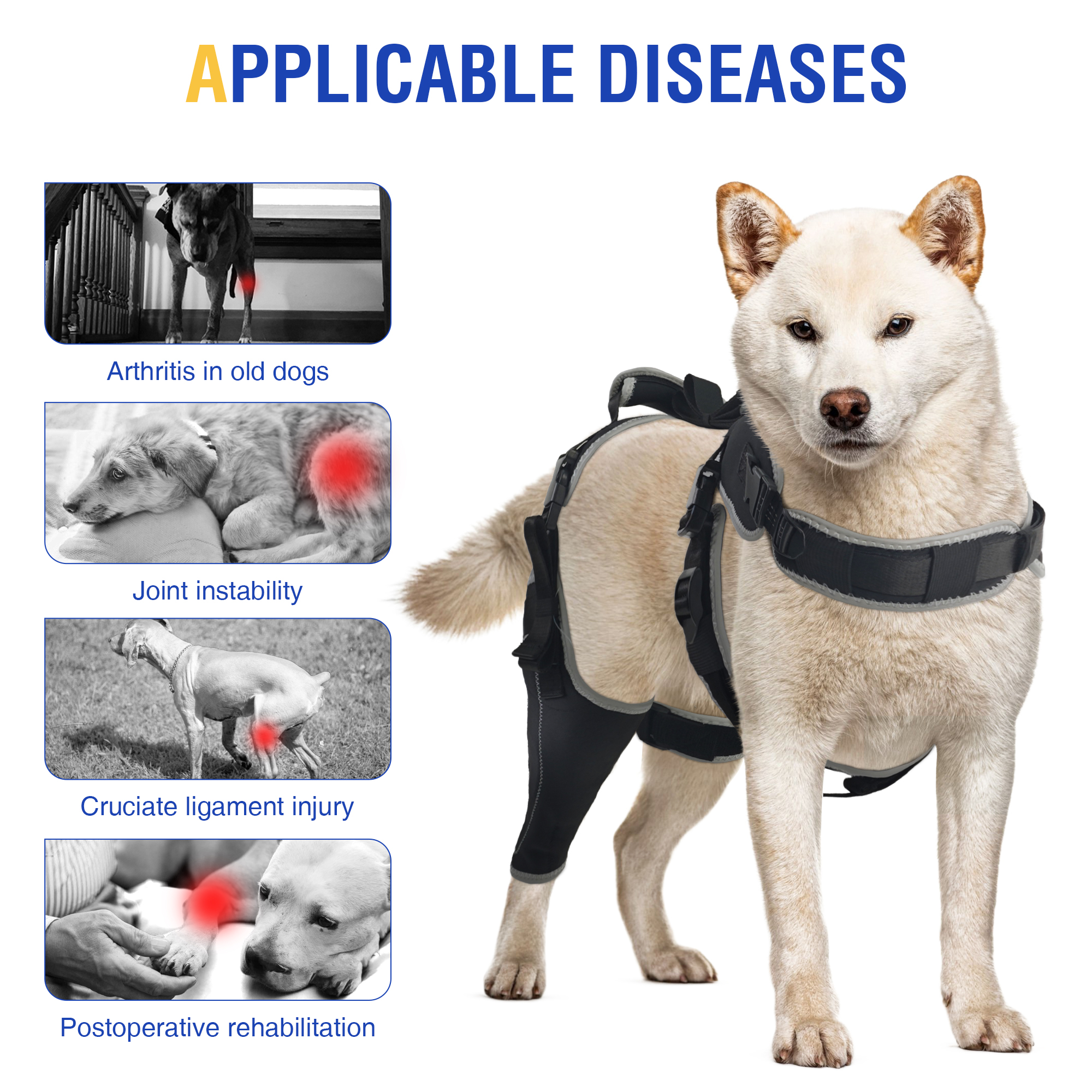 Hinged Dog Knee Brace for ACL Support