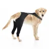 Dog Hind Leg Sleeves to Prevent Licking