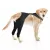 Dog Hind Leg Sleeves to Prevent Licking